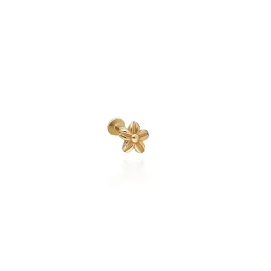 14k Gold Minimal Flower Model Tragus Piercing