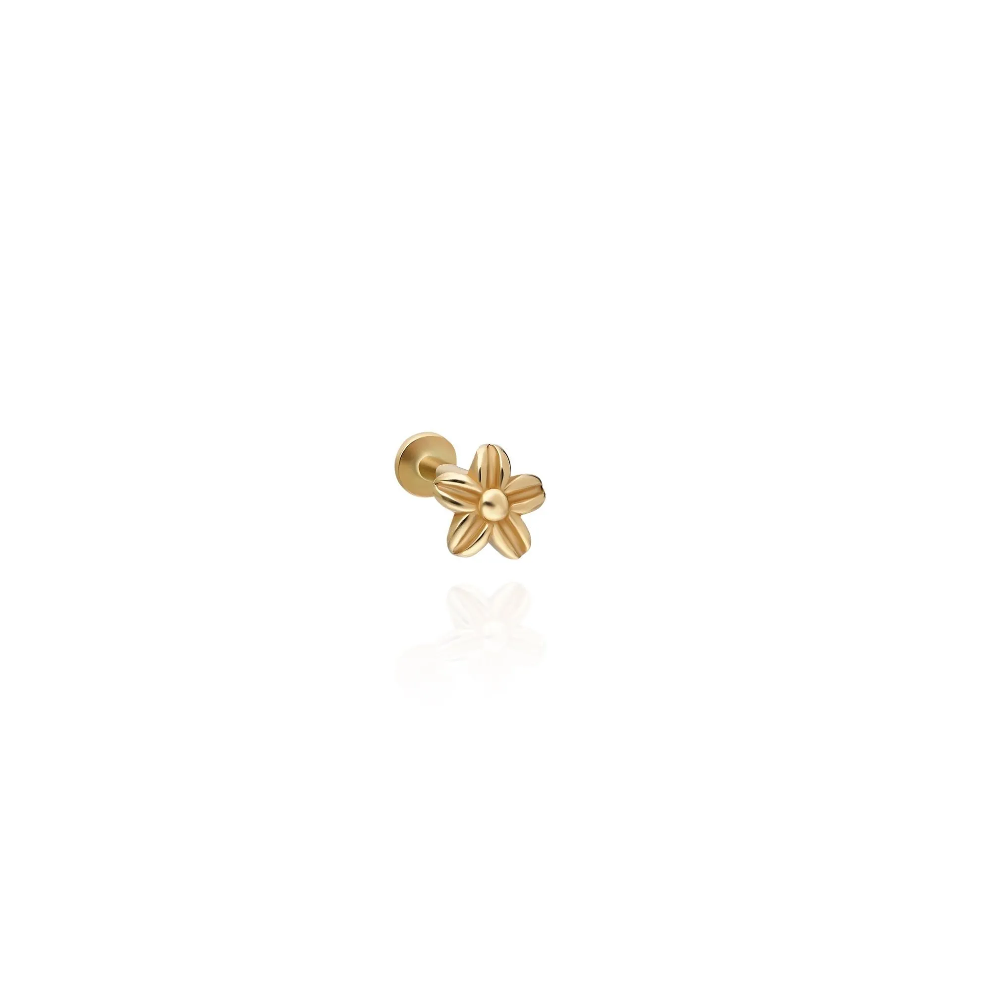 14k Gold Minimal Flower Model Tragus Piercing
