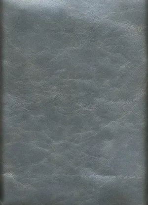 Bolero Pearlized - Iron