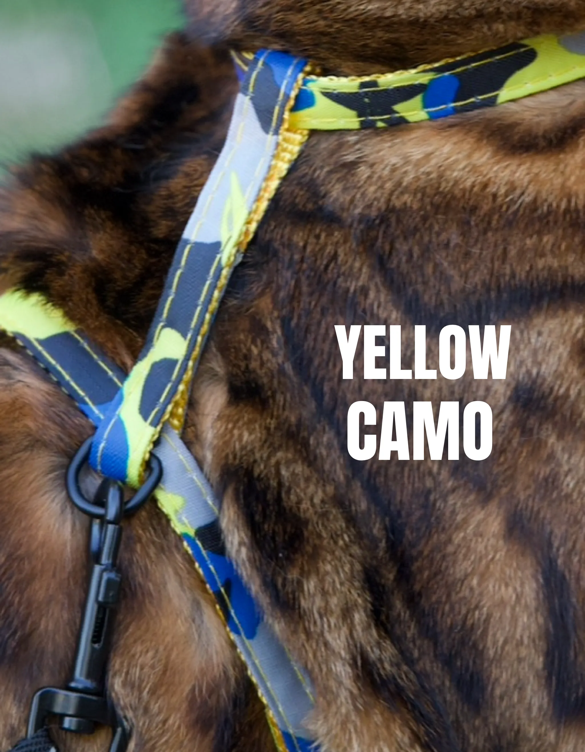 Camo Print Harness Escape Proof