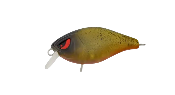 FAT 37