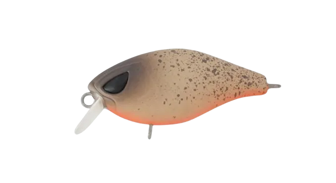FAT 37
