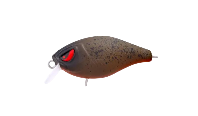 FAT 37