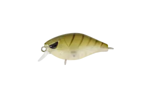 FAT 37