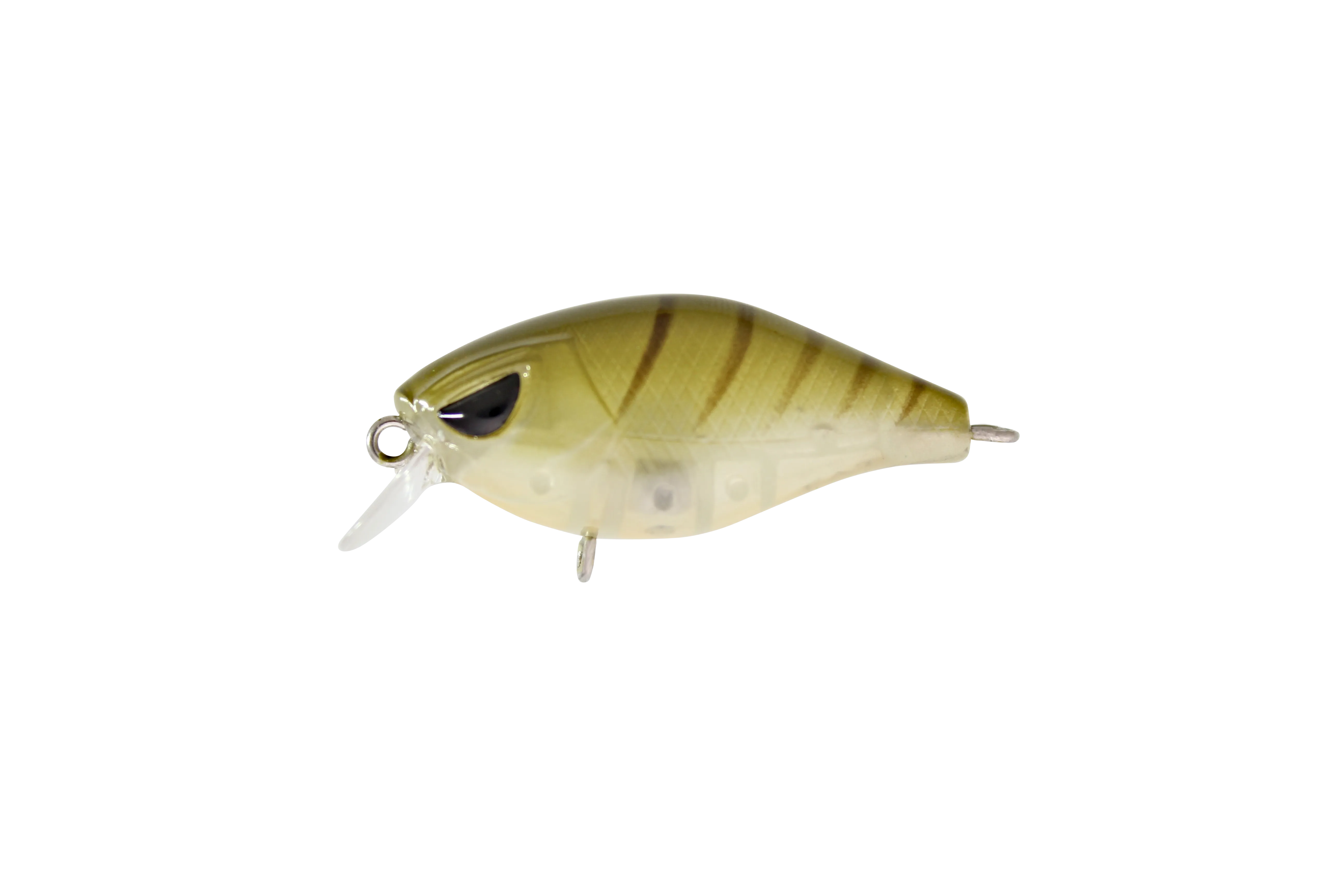 FAT 37