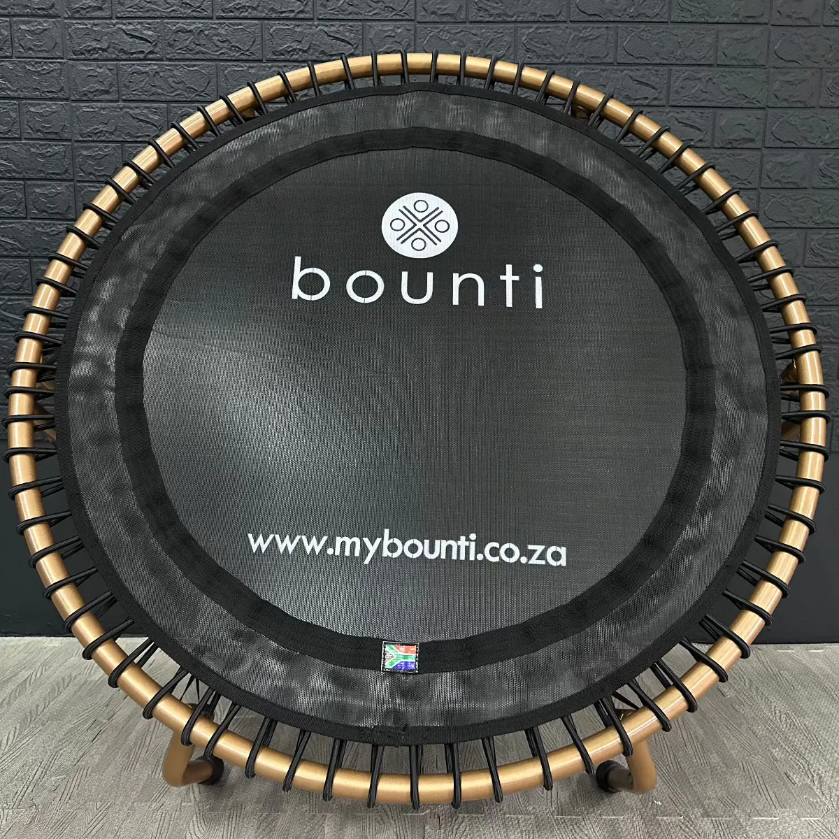 "Regal" Bungee Studio Deluxe (SA Made)