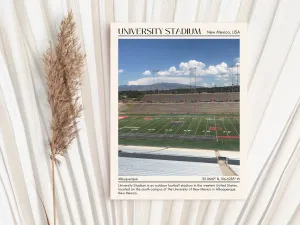 University Stadium  Football Minimal Wall Art
